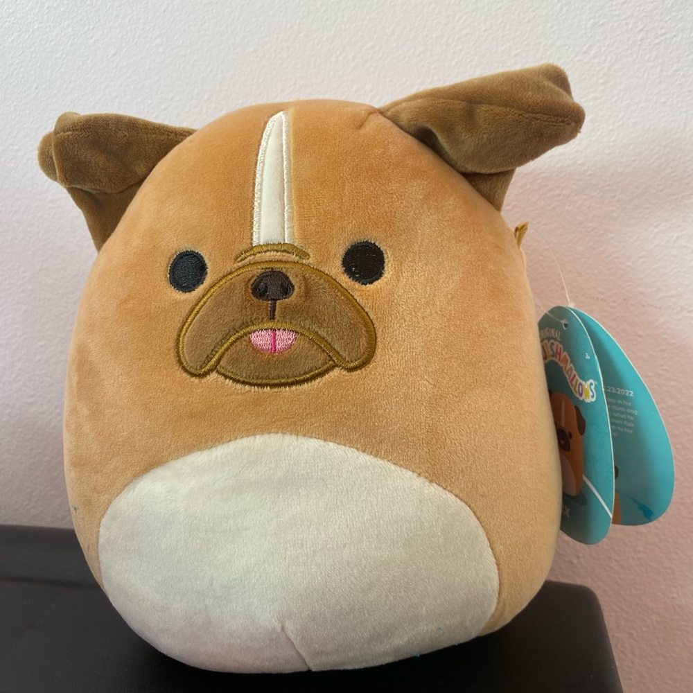 Squishmallow dog Alex